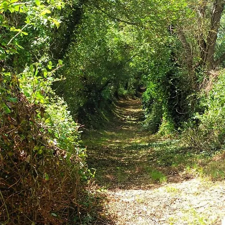 Tatil Evi Du Bresil Montmartin-en-Graignes