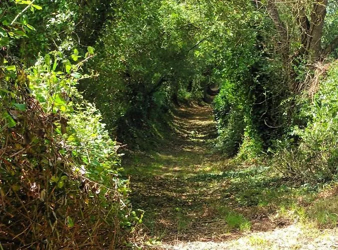 בית נופש Du Bresil Montmartin-en-Graignes