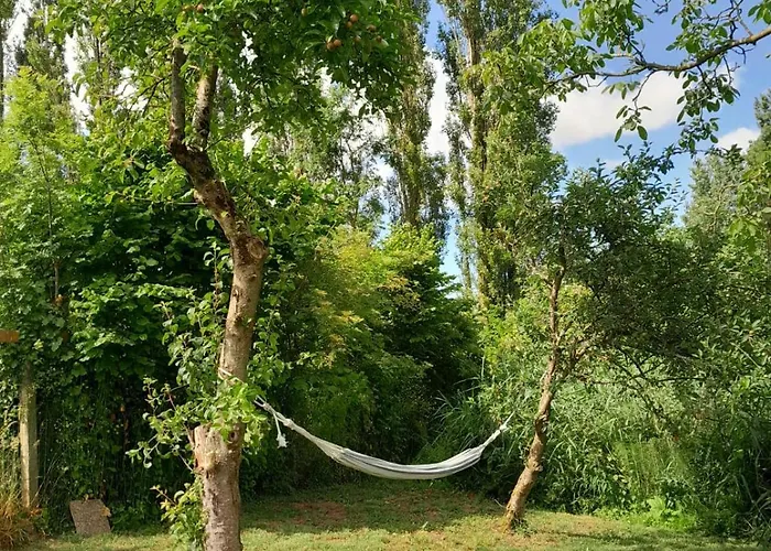 Du Bresil בית נופש *